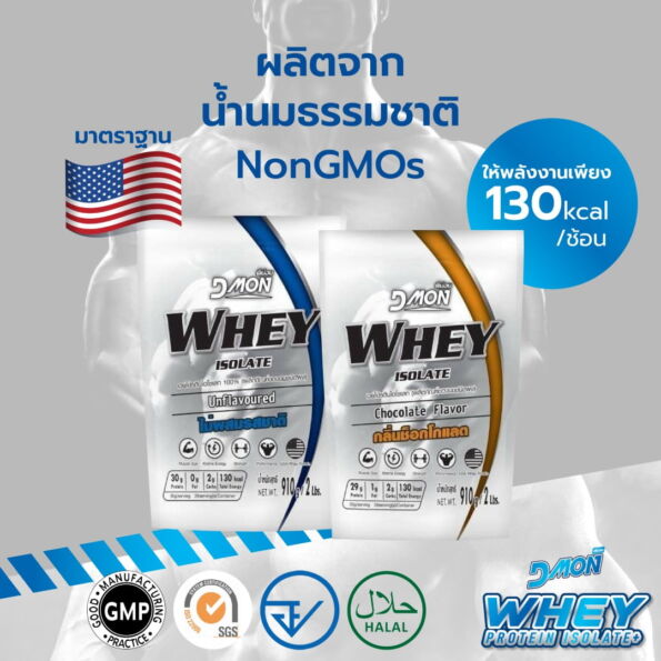 Dmon Whey Protein copy [Recovered] (1)-04 (Large)