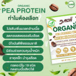 เมเจอร์-PCR-01