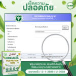Pea-(กล่อง)