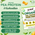 เมเจอร์-PCF-01