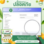 เมเจอร์-PCF-01