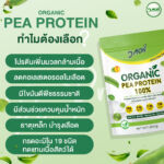 เมเจอร์-PEA-01